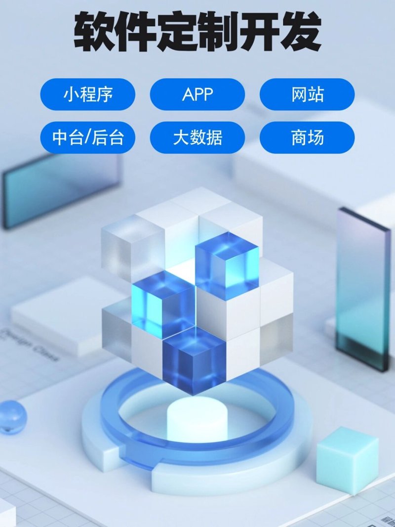 软件定制开发：企业成长的秘密武器